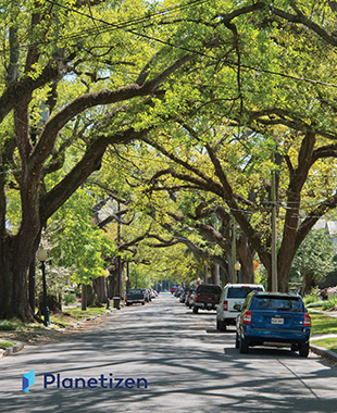 Green Infrastructure Trends Impacting Southern Cities in 2022 and Beyond