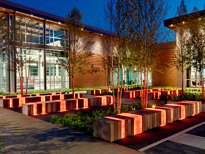 Light glows from within benches in an outdoor plaza