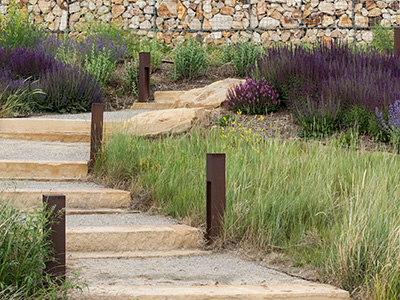 Meandering stone walkway surrounded by grasses