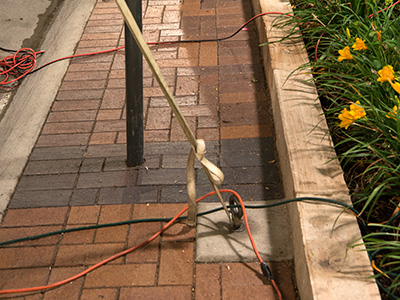 Tent hooks and nearby electricity integrated beside an attractive flower bed