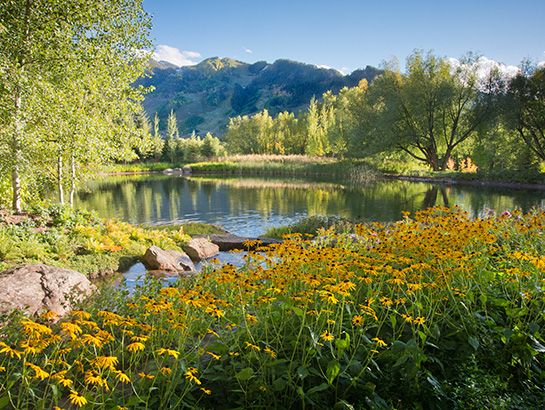 Cascade Garden