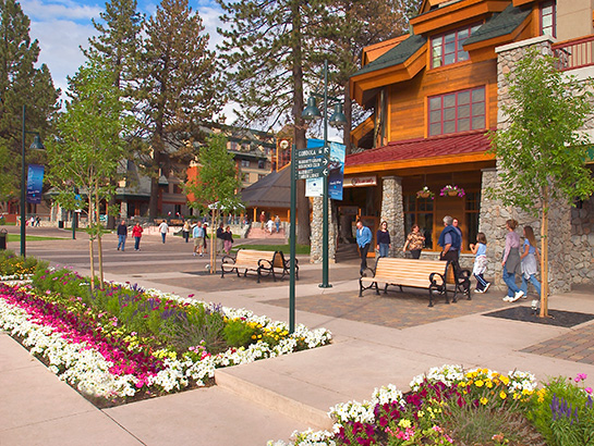 Park Avenue Redevelopment