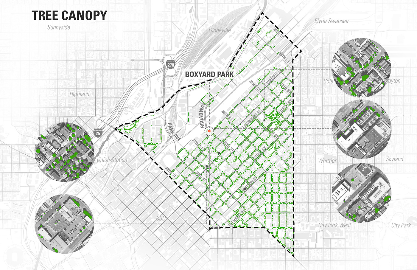 Diagram of the existing tree canopy