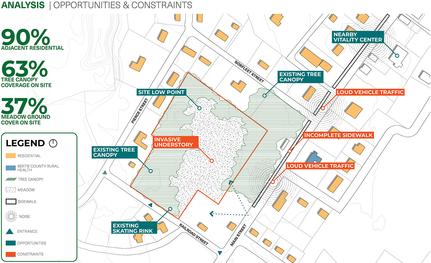 Analysis diagram - Opportunities and Constraints