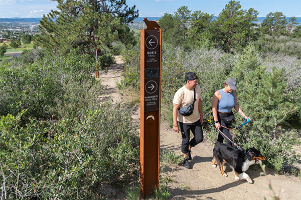 Metzler Family Open Space