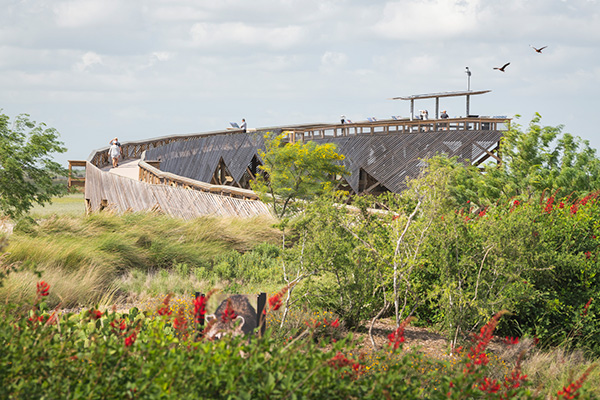 South Texas Ecotourism Center