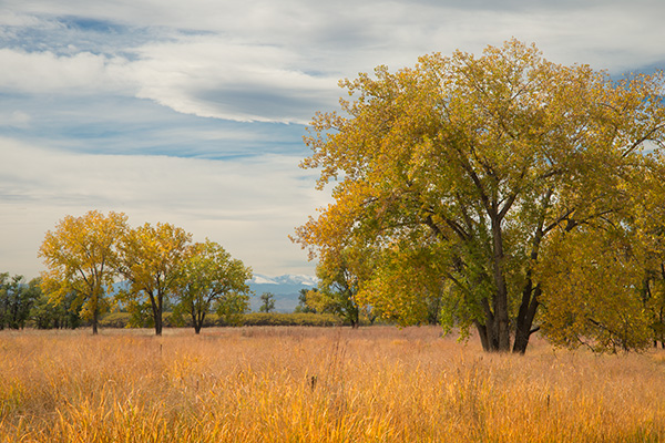 Rocky Mountain Arsenal National Wildlife Refuge