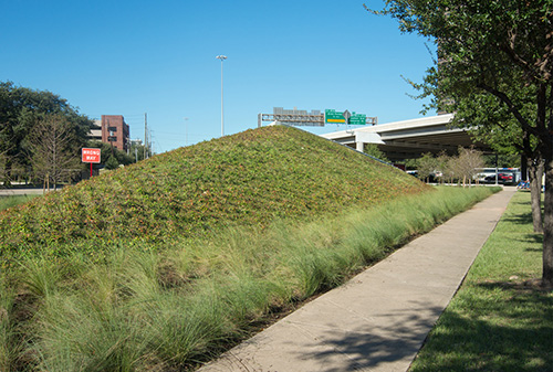 Precedent image of landscaping and vegetation adjacent to highway